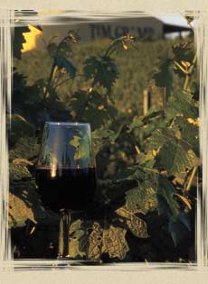 Tim Gramp Wines - glass of wine